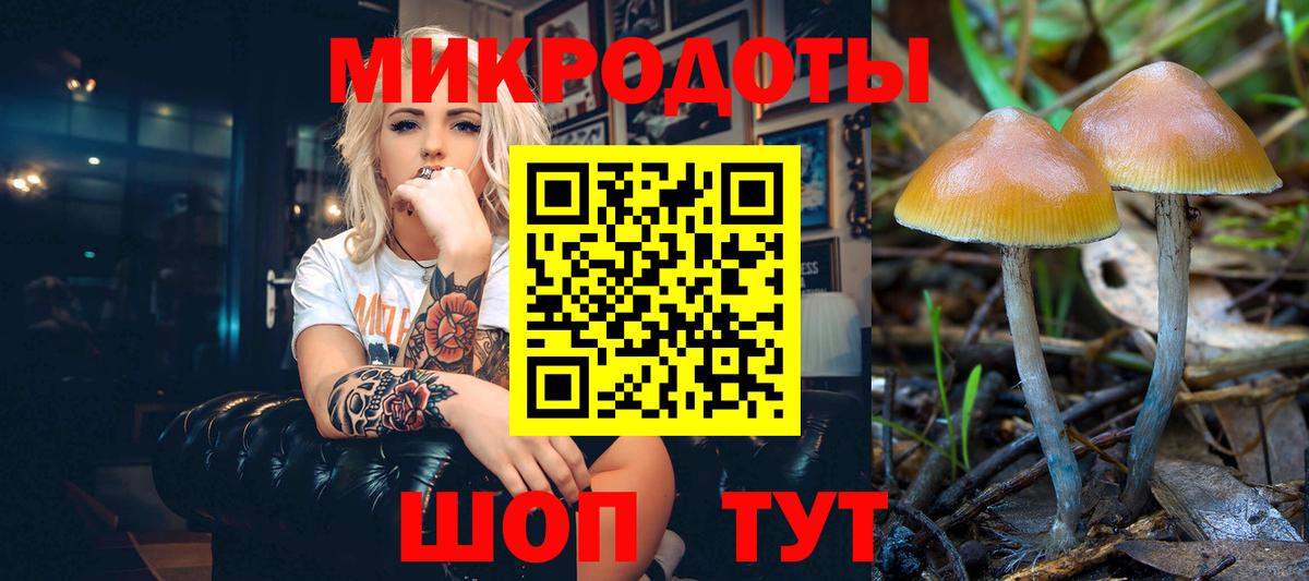Ачхой-Мартан  Псилоцибиновые грибы MAGIC MUSHROOMS  Вход с VPN 